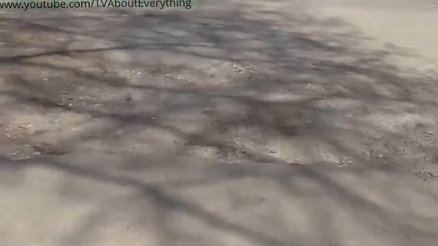 В Днепродзержинске асфальтируют тротуары вместо дорог смотреть онлайн