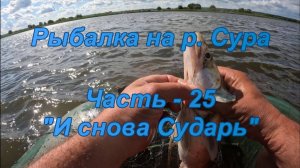 Рыбалка на р. Сура. Часть - 25. "И снова Сударь".