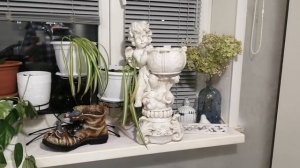 Покупки для дачи. в интернет магазинах.