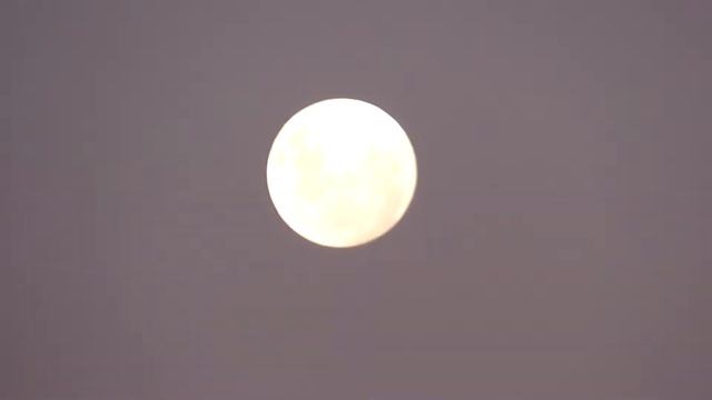 Panasonic Lumix FZ70 / FZ72 - ultra zoom review test - MOON ZOOM HD 60x смотреть онлайн