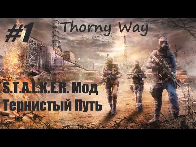 S.T.A.L.K.E.R. Зов Припяти. Мод Тернистый Путь. Thorny Way#1