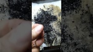 ПРОМЫВКА ПЕЧКИ САЛОНА БЕЗ РАЗБОРА FORD FOCUS