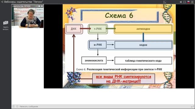 Алгоритмы решения и оформление задач по молекулярной биологии (линии заданий 3 и 27 ЕГЭ)