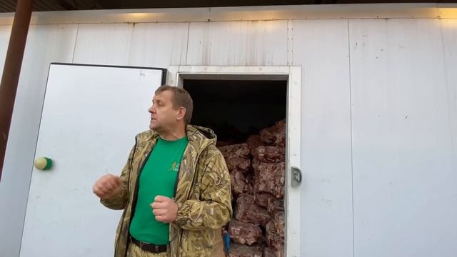 Говорят что в Тайгане НЕЧЕМ КОРМИТЬ ЛЬВОВ ? Впервые мы показываем наши холодильники с мясом и рыбой смотреть онлайн