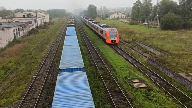 Поезд "Ласточка" Псков - Санкт-Петербург на станции Струги Красные смотреть онлайн