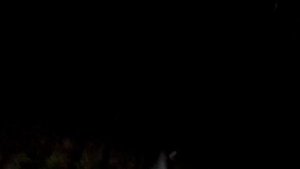 Рвотный рефлекс у поросят,в чем причина?видео 9.