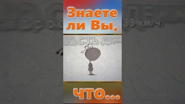 Знаете ли Вы, Что? Муравей