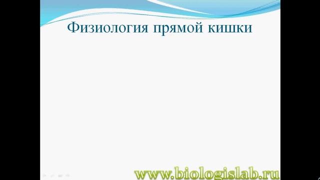 Особенности строения прямой кишки (rectum). Презентация. Скачать.