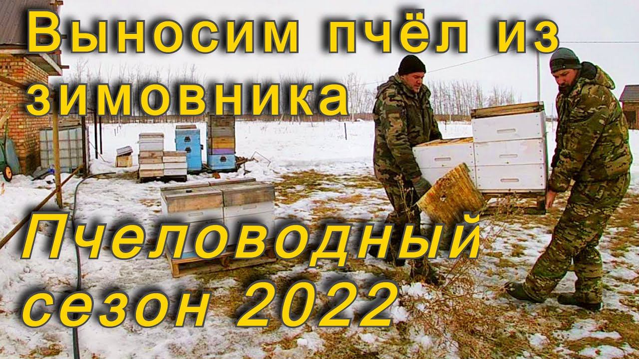 Зимовка пчёл 2022! Пчеловодный сезон 2022 г. начался с выставки пчёл из зимовника. смотреть онлайн