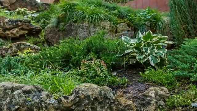 Ландшафтный дизайн от Ильи Васецкого. "Живые камни в саду! №1 смотреть онлайн