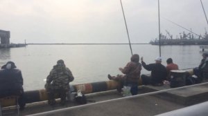 Рыбалка в черте города Туапсе .