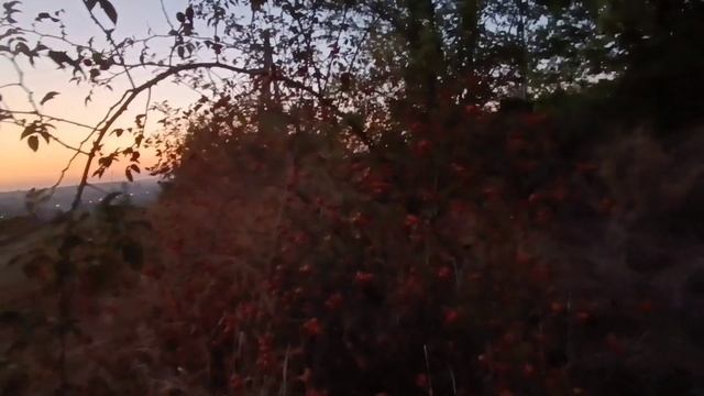 Пятница вечерний Кишинев./ Приготовила вкусное пюре из чечевицы с овощами./??️?? смотреть онлайн