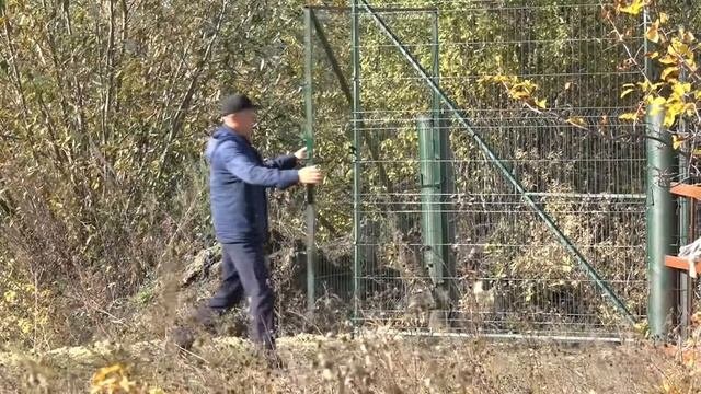 В Кузнецке завершается ремонт здания под приют для безнадзорных животных. Сентябрь 2021 год