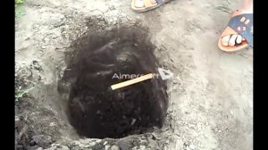 Тест на глубину - Golden  Mask 5