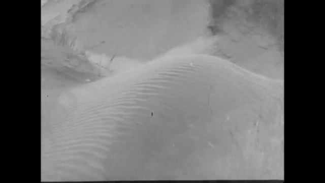 Images d'Ostende | 1929 | Documentary | Henri Storck