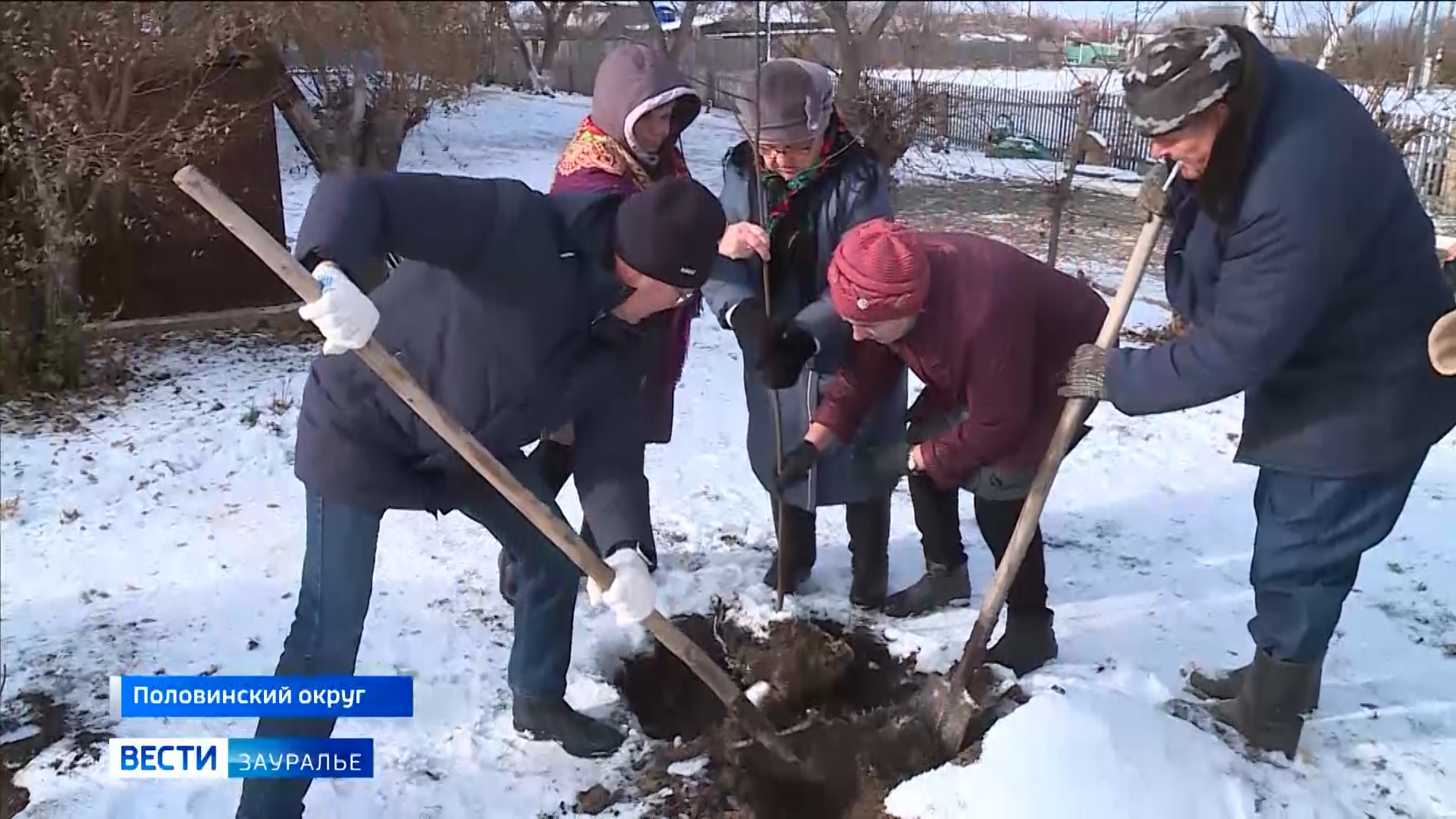 Жители Привольного Половинского округа заложили липовую аллею