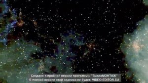 «Электрохит ЗВЕЗДА» Ванесса Мэй
