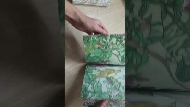 Нелюбимые раскраски смотреть онлайн