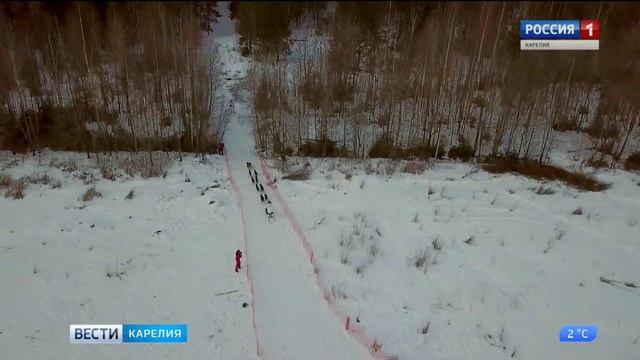 Пополнение в питомнике карельского путешественника Виктора Симонова смотреть онлайн