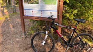 Экотропа "Щучье озеро" посёлок Комарово