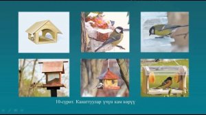 #2.I.Технология 6-кл.Тема: Келгин куштарга кам көрүү