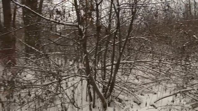 Как стро­ить дом на бо­ло­те смотреть онлайн