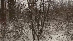 Как стро­ить дом на бо­ло­те