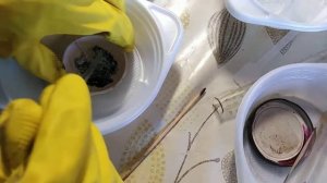 Реакция щавелевой кислоты и перманганата калия