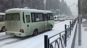 автобус буксует