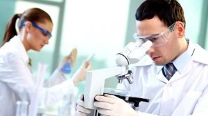 А что Будет, если отказаться от Хлеба Навсегда?