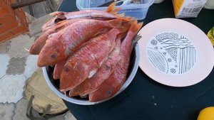 Выходные в Кирилловке.Жарим барабульку и журавку.