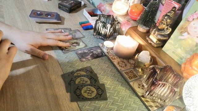 Луна. Стерилизация животных. Усыпление. Эвтаназия.