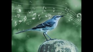 Песня пение птиц? Успокаивающая музыка восстанавливает нервную систему,расслабляющая