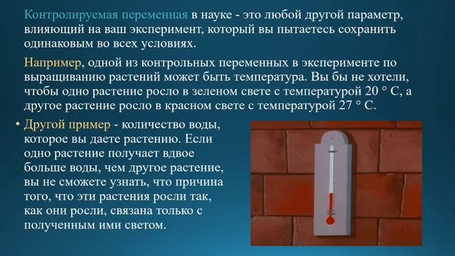 Естествознание 6 класс. Тема урока: Вопрос исследования. смотреть онлайн