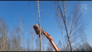 Мульчер UM Forest prof — 140H. Лесной измельчитель древесины, пней, кустарников, корней ДКР. Услуги.