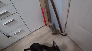 Жизнь в деревне. А на ужин у нас рисовая каша с мясом. Приодели Арсения к школе. Обзор покупок.