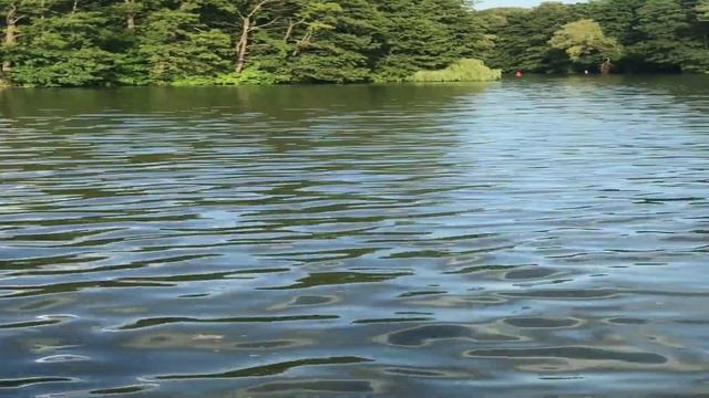 ЗАНЯТИЯ ПО ВОЖДЕНИЮ, С УДОВОЛЬСТВИЕМ ПРОВОДИЛА В ЛЕСУ,НА РАДОСТЬ ИНСТРУКТОРУ.Жизненный аудио расска смотреть онлайн