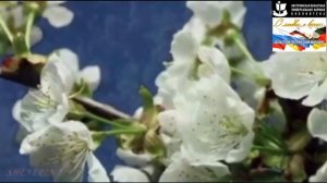 «Willkommen und Abschied» (J  W  von Goethe)..mp4