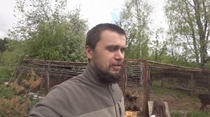 На НИВЕ семьёй в ТАЙГУ. Путешествия в одну машину.