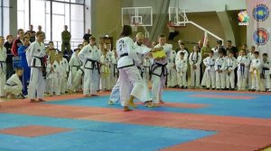 Всероссийские соревнования по тхэквондо прошли в Подольске