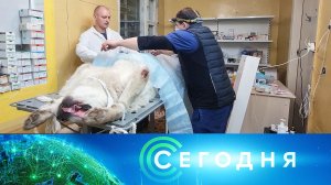 «Сегодня»: 1 апреля 2024 года. 13:00 | Выпуск новостей | Новости НТВ