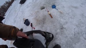 Ловля ЛЕЩА в марте 2022 ! Рыбалка на Оке со льда!