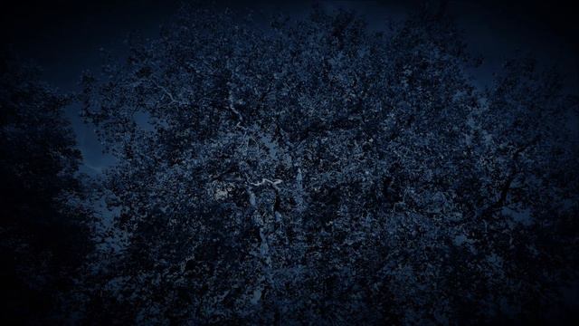 The Flower Moon The May Full Moon by Guy Thornton смотреть онлайн