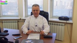 Можно ли давать кашу собаке и почему каши являются неотъемлемой частью сбалансированного рациона