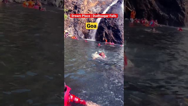 Dream Place | Dudhsagar Falls | Dudhsagar Waterfalls | Goa Tour #goa #viral #viralvideo