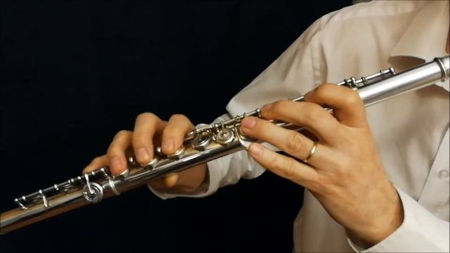 Testvideo Mehnert flute смотреть онлайн