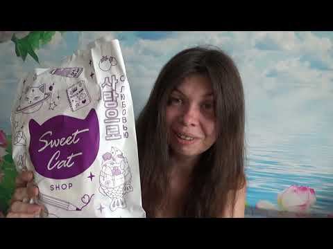Art Manij ОБЗОР На китайские товары из Sweet Cat Shop