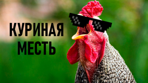 КУРИНАЯ МЕСТЬ