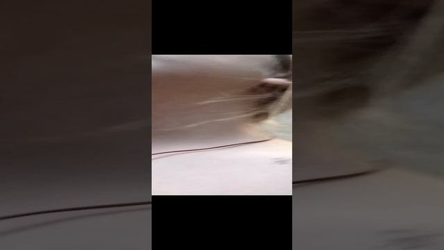 опыты ??