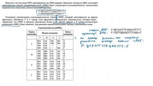 Решение несложных задач на биосинтез белка. Разбор и оформление задачи на биосинтез белка 25755.